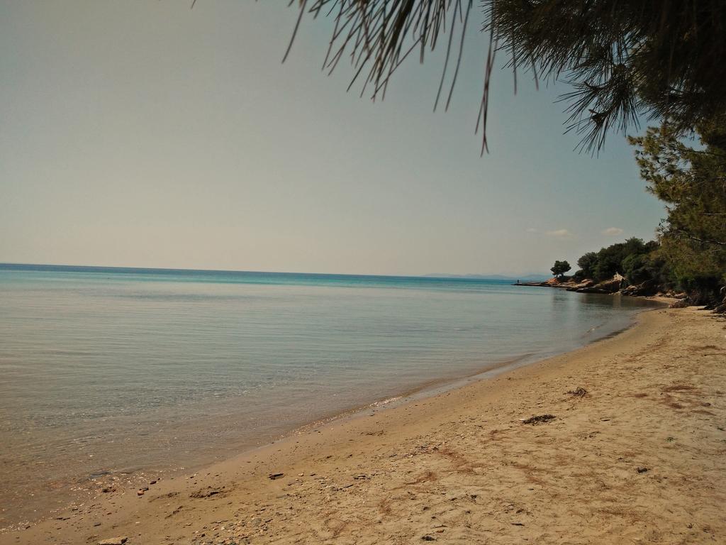 אליה Moriel Seaside Homes Suites מראה חיצוני תמונה